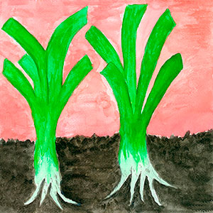 Leeks - Watercolours  - School Recipe Book Project - Creation Art Cards